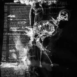 Magna Veritas : Diagrama